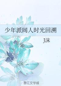 少年派插曲时代