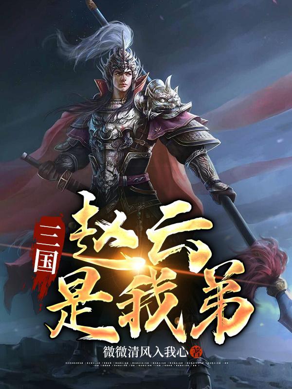 我是赵云的儿子