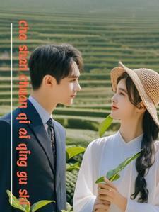 茶山情歌完整版