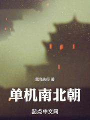 单机南北朝好看吗