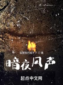 风之声暗夜行路在线阅读