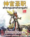 神官圣职免费