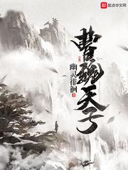 曹魏天子动画合集