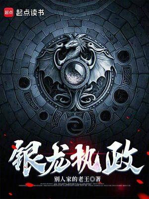 银龙怎么样