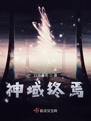 神域终焉多少钱