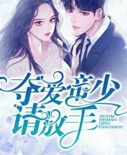 林辛言宗景灏庄子衿全文免费阅读