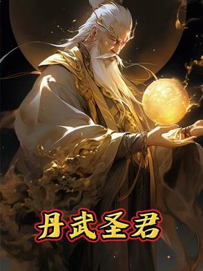 丹武圣尊txt