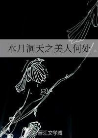 水月洞天 作者