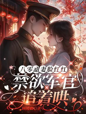 八零年代军婚系列
