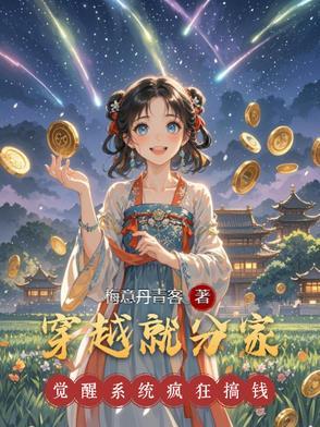 刚穿越就分家被定亲