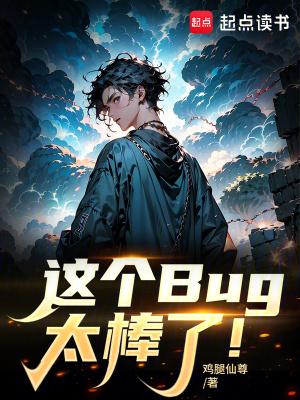 这是一个bug啥意思