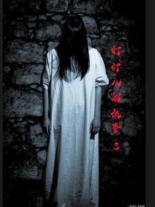 打灯笼绘本故事内容