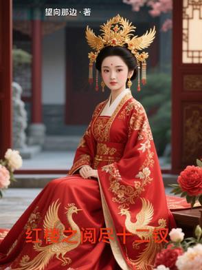 穿越红楼收十二金钗