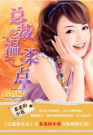 总裁温柔点 冷小眉