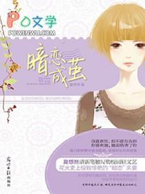 暗恋成茧书籍