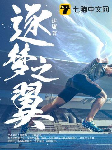 逐梦之翼多少钱