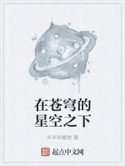 在苍穹下展翅