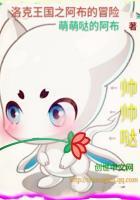 洛克王国阿布最终形态