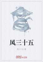 作者风三十五