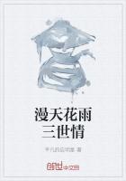 漫天花雨烟花是什么类型