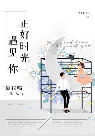歌词正好遇见你