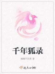 千年狐优化