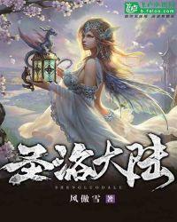圣洛皇电器有限公司