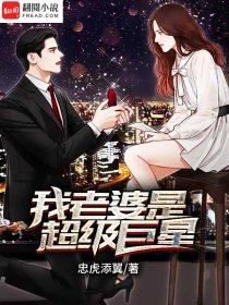 我老婆是超级巨星txt