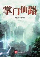 掌门仙路鸟书