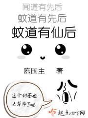 蚊道人境界