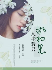 人生若只如初见在线观看免费全集
