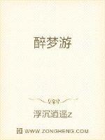 醉梦西游