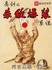 亮剑之杀敌爆装系统